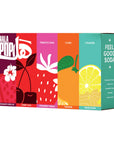 HALAPOP PREBIOTIC SODA - VARIETY PACK BUNDLE (5x 250ml)