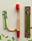 BLOOMSPOON BAMBOO TOOTHBRUSH WITH PLANTABLE SEED TAG (MINT) - SQOON