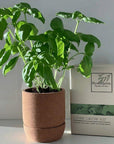 BLOOMSPOON CORK GROW KIT - SQOON