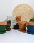 BLOOMSPOON TERRACOTTA GROW KIT - SQOON