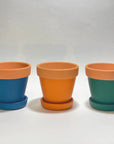 BLOOMSPOON TERRACOTTA GROW KIT - SQOON