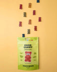 GOOD CANDY CO. FRUITY BEARS - SQOON