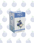 H2Q BLUEBERRY - LICIOUS - SQOON