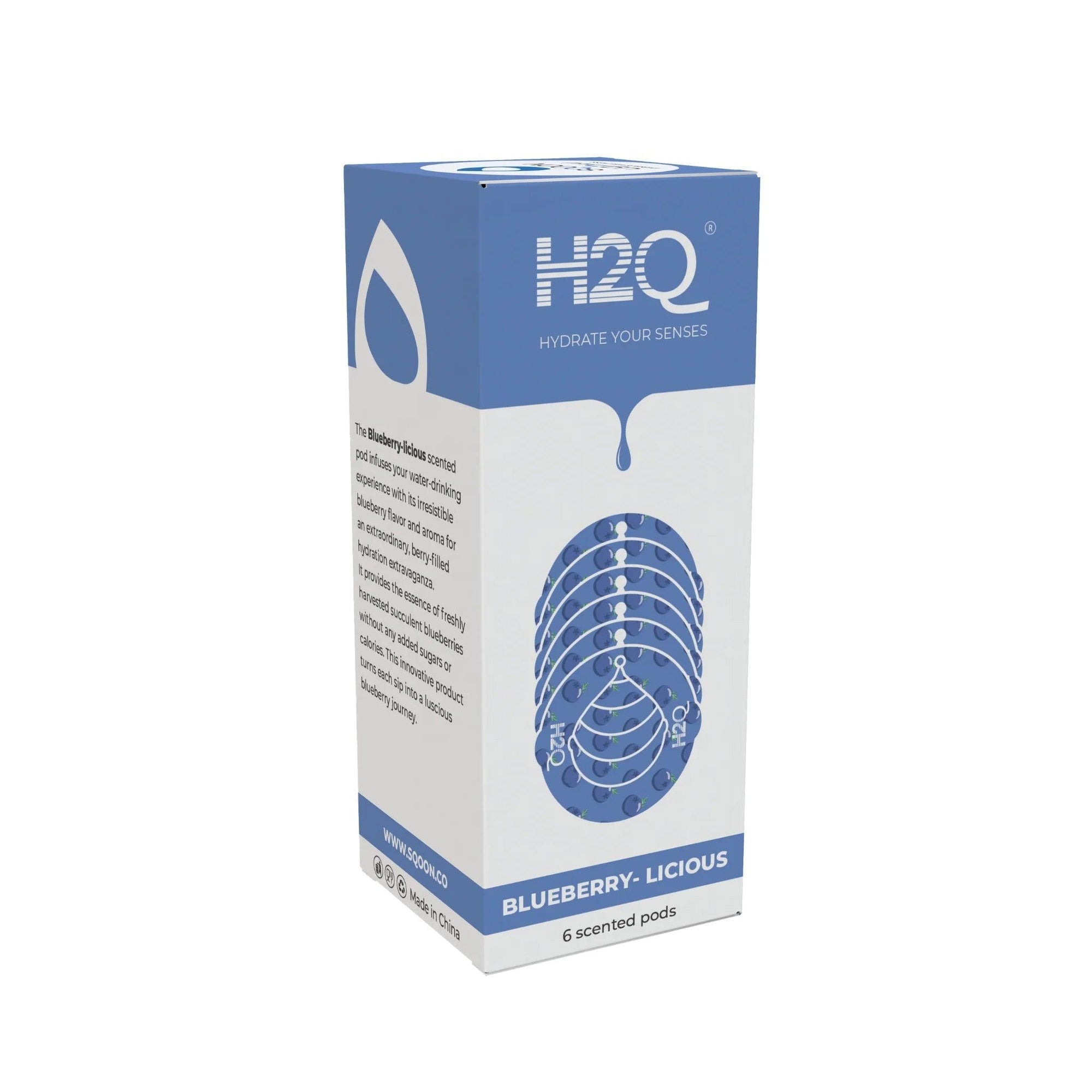H2Q BLUEBERRY - LICIOUS - SQOON