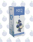 H2Q BLUEBERRY - LICIOUS - SQOON