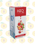 H2Q PEACH DELIGHT - SQOON