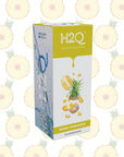 H2Q SUNNY PINEAPPLE - SQOON