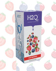 H2Q THE BERRIES - SQOON