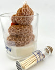 LE MEILLEUR BROWN TEDDY IN A JAR SCENTED CANDLE WITH MATCHES - SQOON