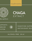 LIFE WITHIN CHAGA EXTRACT (30 ml) - SQOON