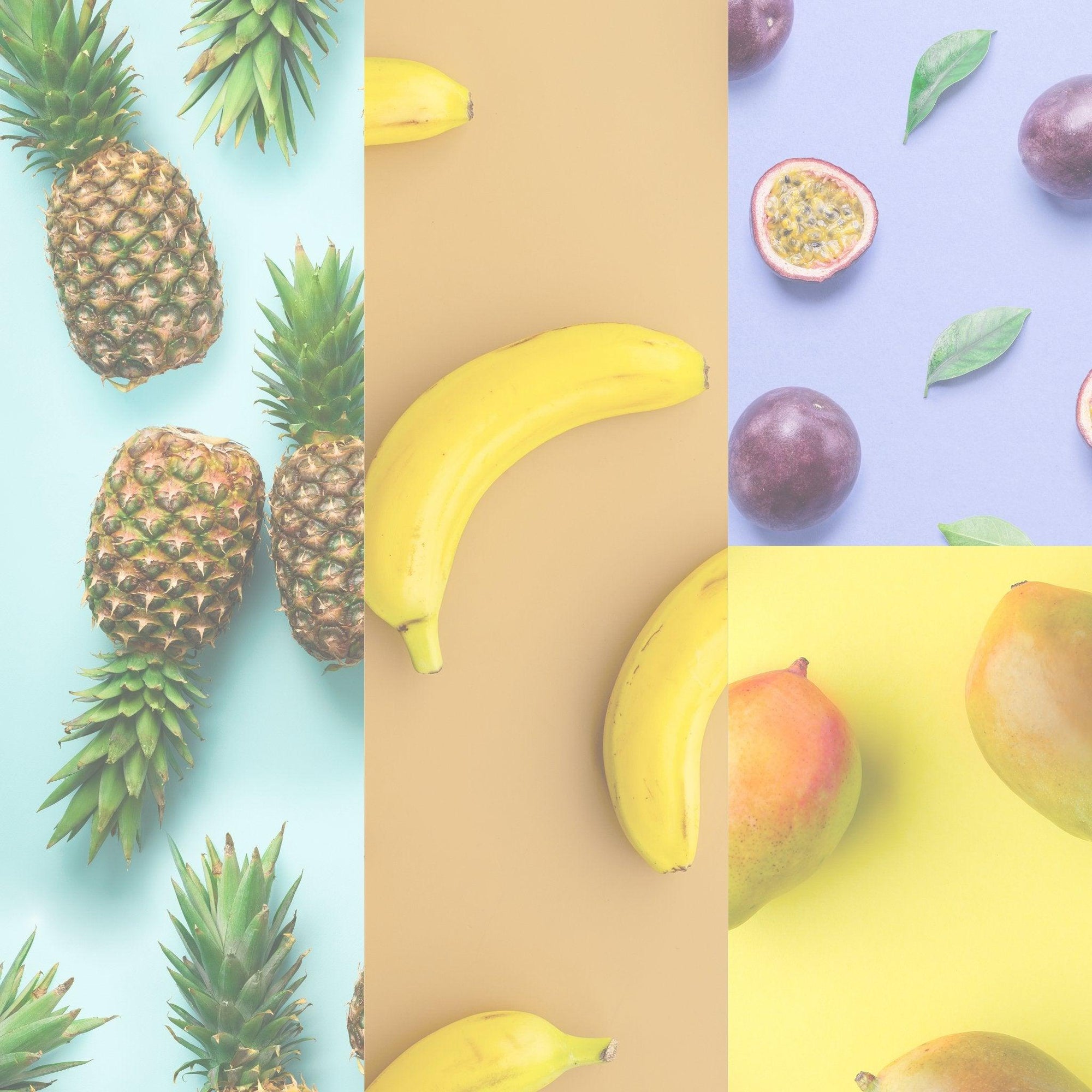TROPICAL FLAVORS - SQOON