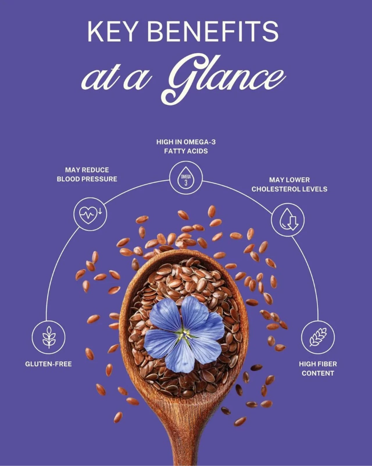 ELEPHANT &amp; FIG TREE BROWN FLAXSEEDS (500g)