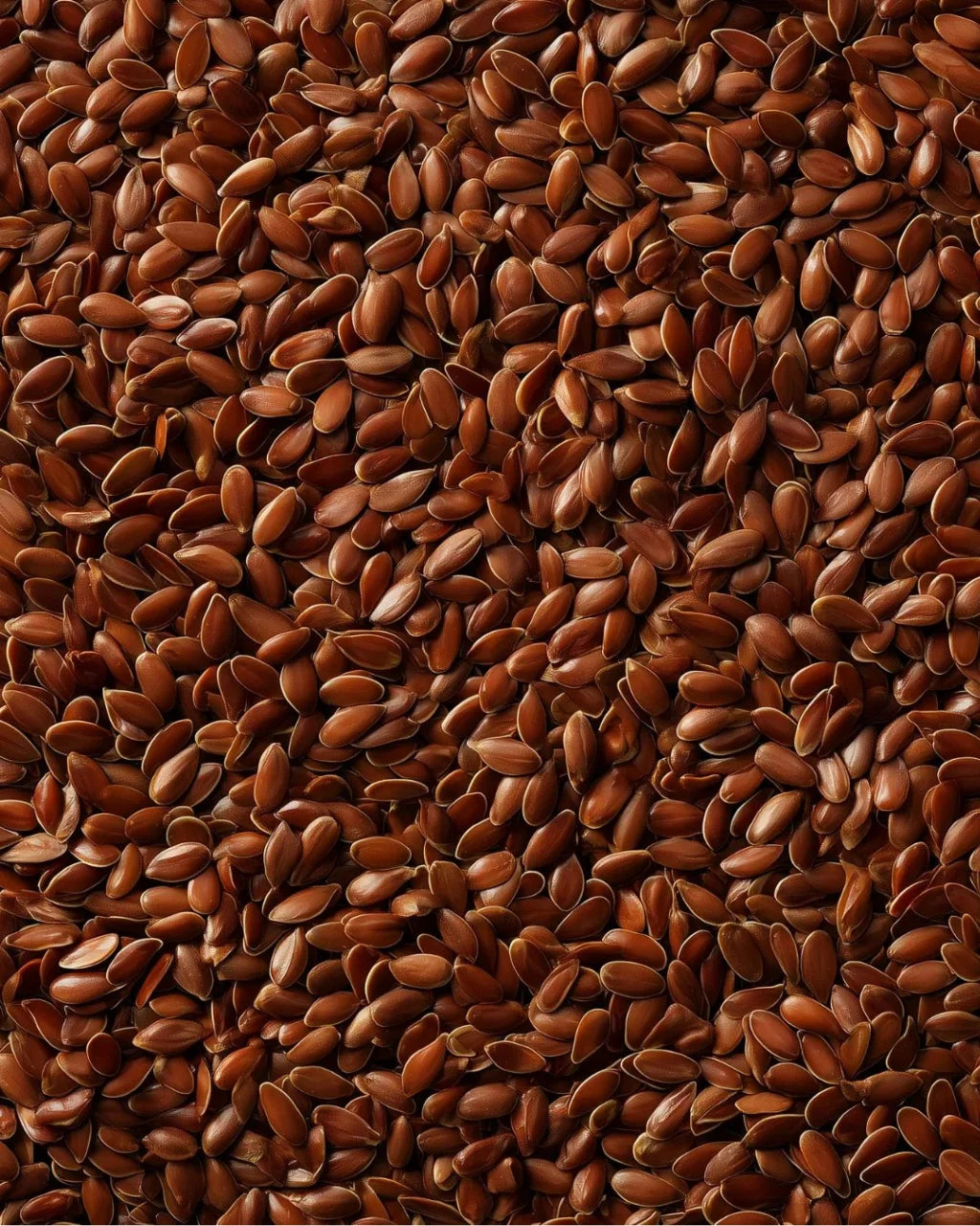 ELEPHANT &amp; FIG TREE BROWN FLAXSEEDS (500g)
