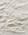 ELEPHANT & FIG TREE ALL-PURPOSE WHITE FLOUR (450g)