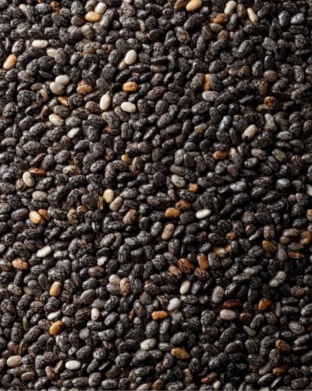 ELEPHANT &amp; FIG TREE ORGANIC CHIA SEEDS (250g)