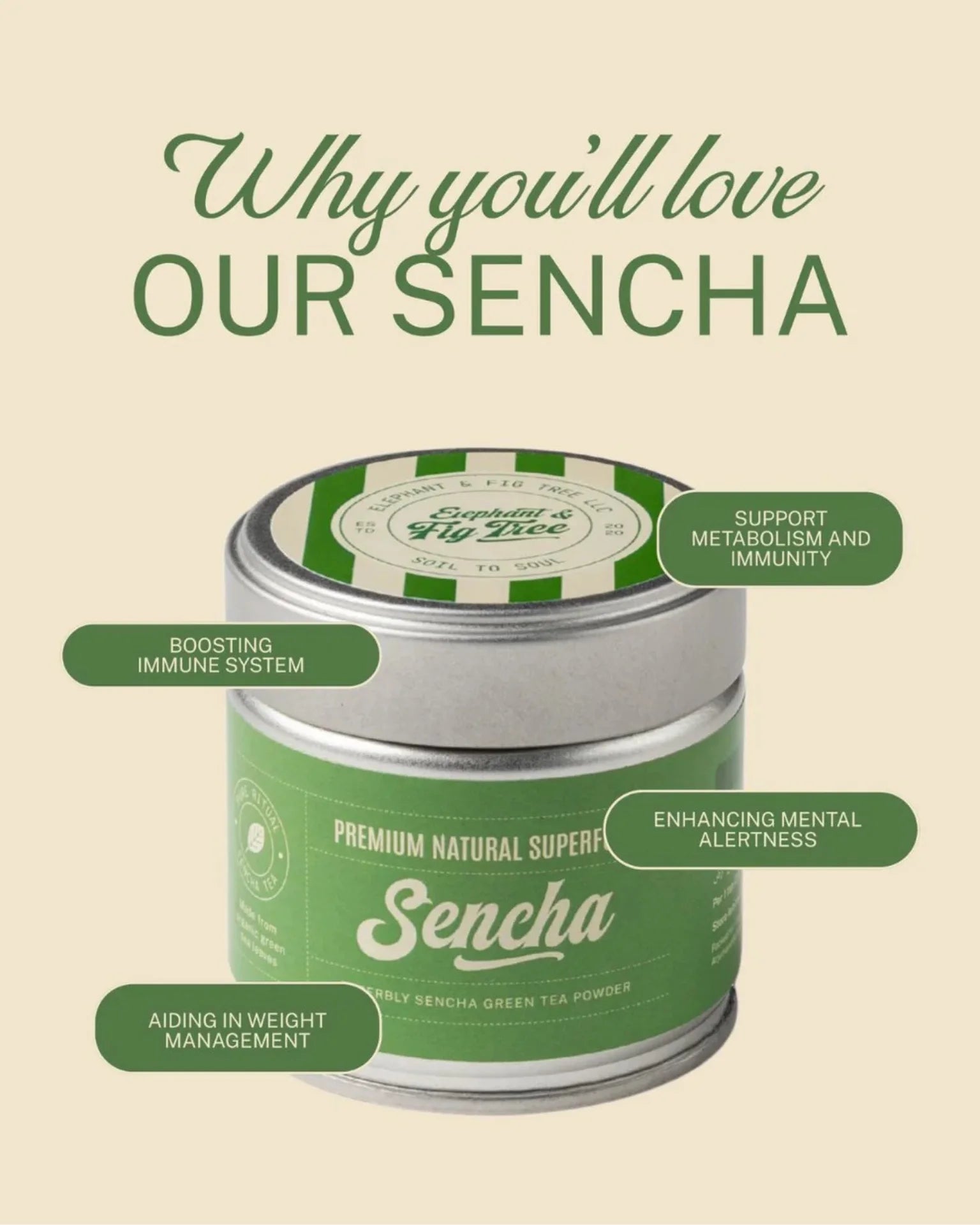 ELEPHANT &amp; FIG TREE SENCHA POWDER