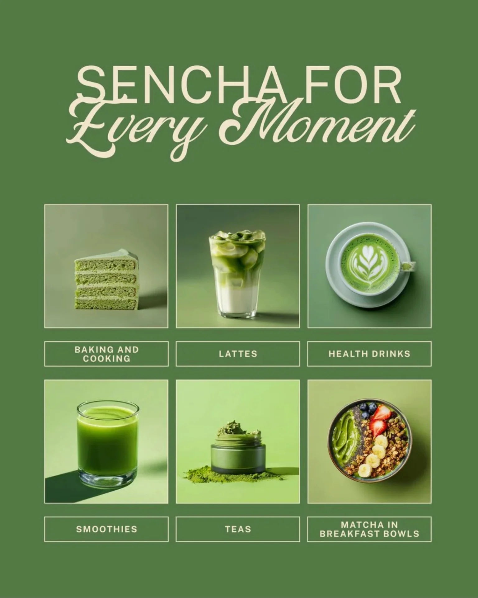 ELEPHANT &amp; FIG TREE SENCHA POWDER