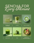 ELEPHANT & FIG TREE SENCHA POWDER