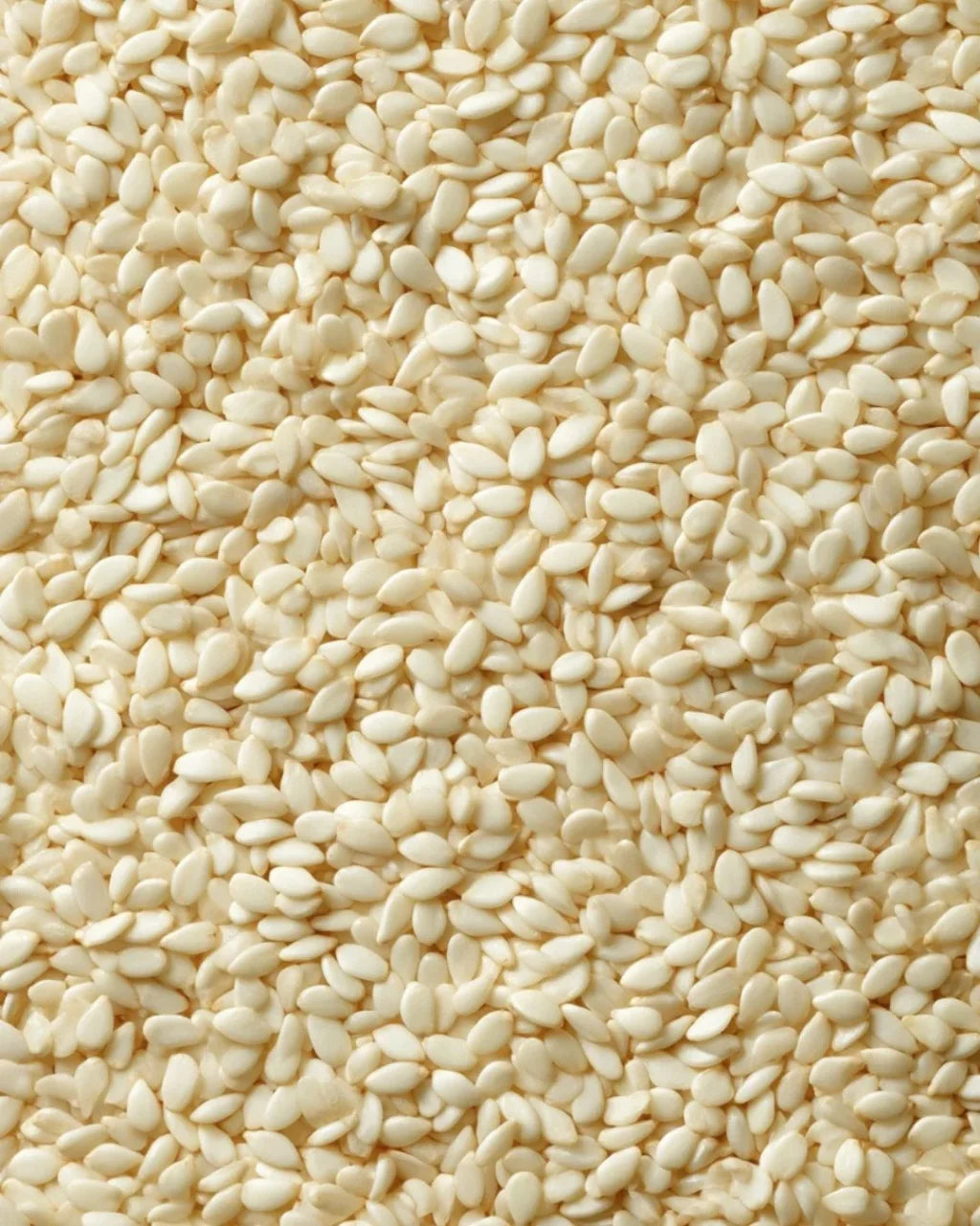 ELEPHANT &amp; FIG TREE SESAME SEEDS (340g)