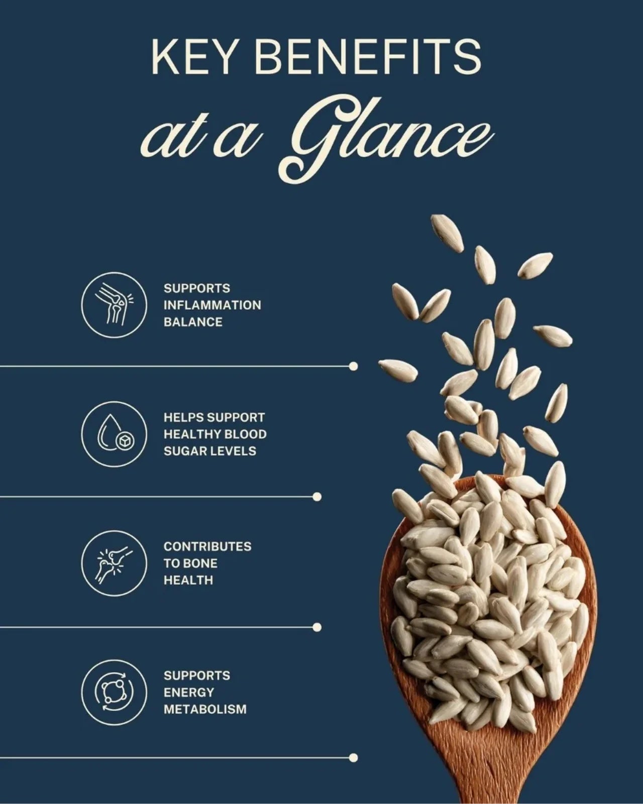 ELEPHANT &amp; FIG TREE SUNFLOWER SEED KERNELS (500g)