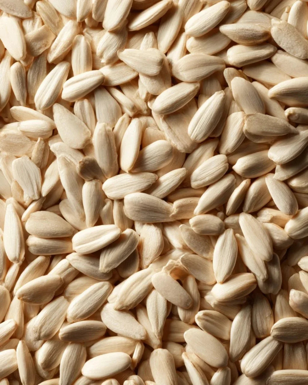 ELEPHANT &amp; FIG TREE SUNFLOWER SEED KERNELS (500g)