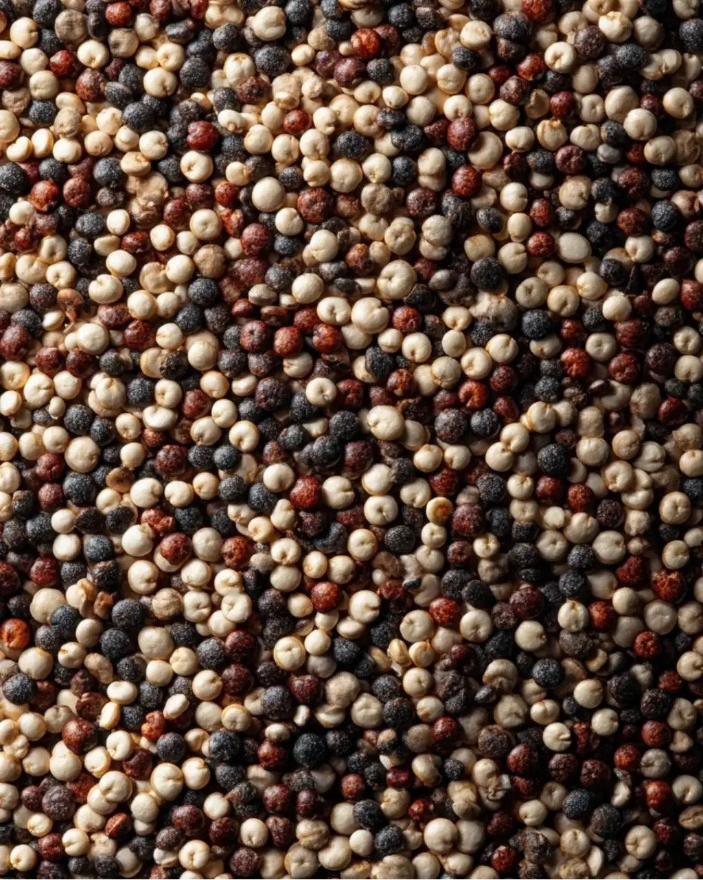 ELEPHANT &amp; FIG TREE TRI-COLOR QUINOA (350g)