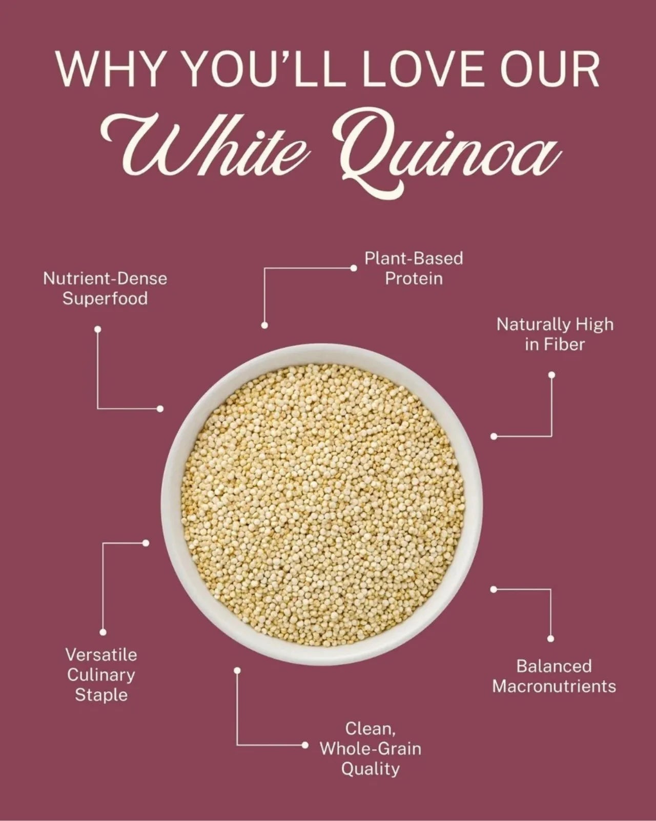 ELEPHANT &amp; FIG TREE WHOLE GRAIN WHITE QUINOA (500g)