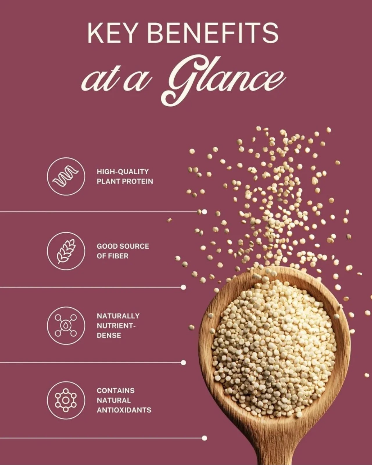 ELEPHANT &amp; FIG TREE WHOLE GRAIN WHITE QUINOA (500g)