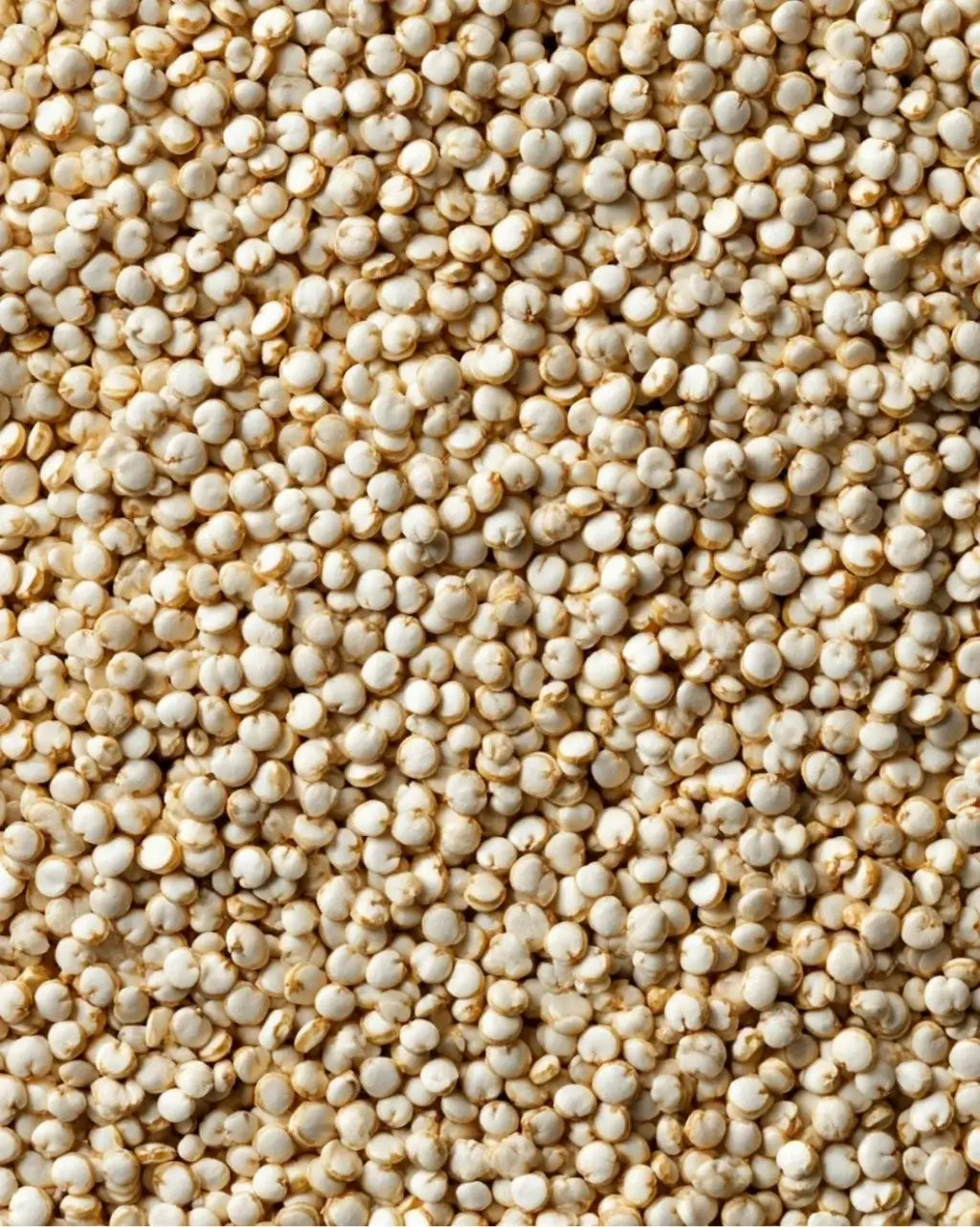 ELEPHANT &amp; FIG TREE WHOLE GRAIN WHITE QUINOA (500g)