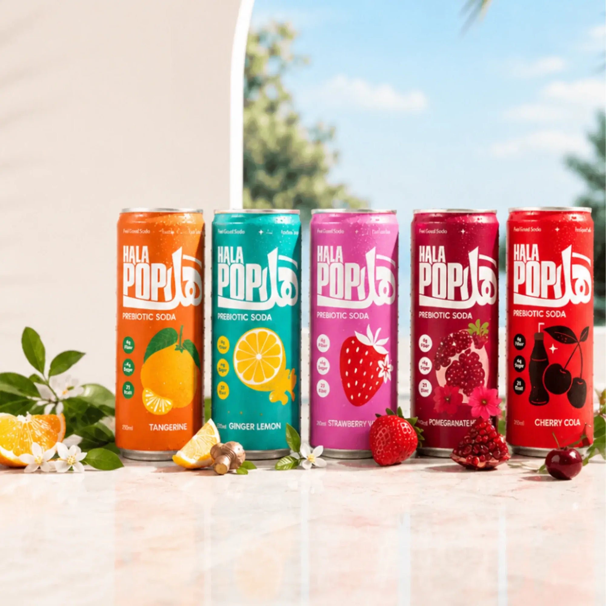 HALAPOP PREBIOTIC SODA - VARIETY PACK BUNDLE (5x 250ml)