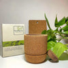 BLOOMSPOON - GREEN GROWTH BUNDLE - SQOON