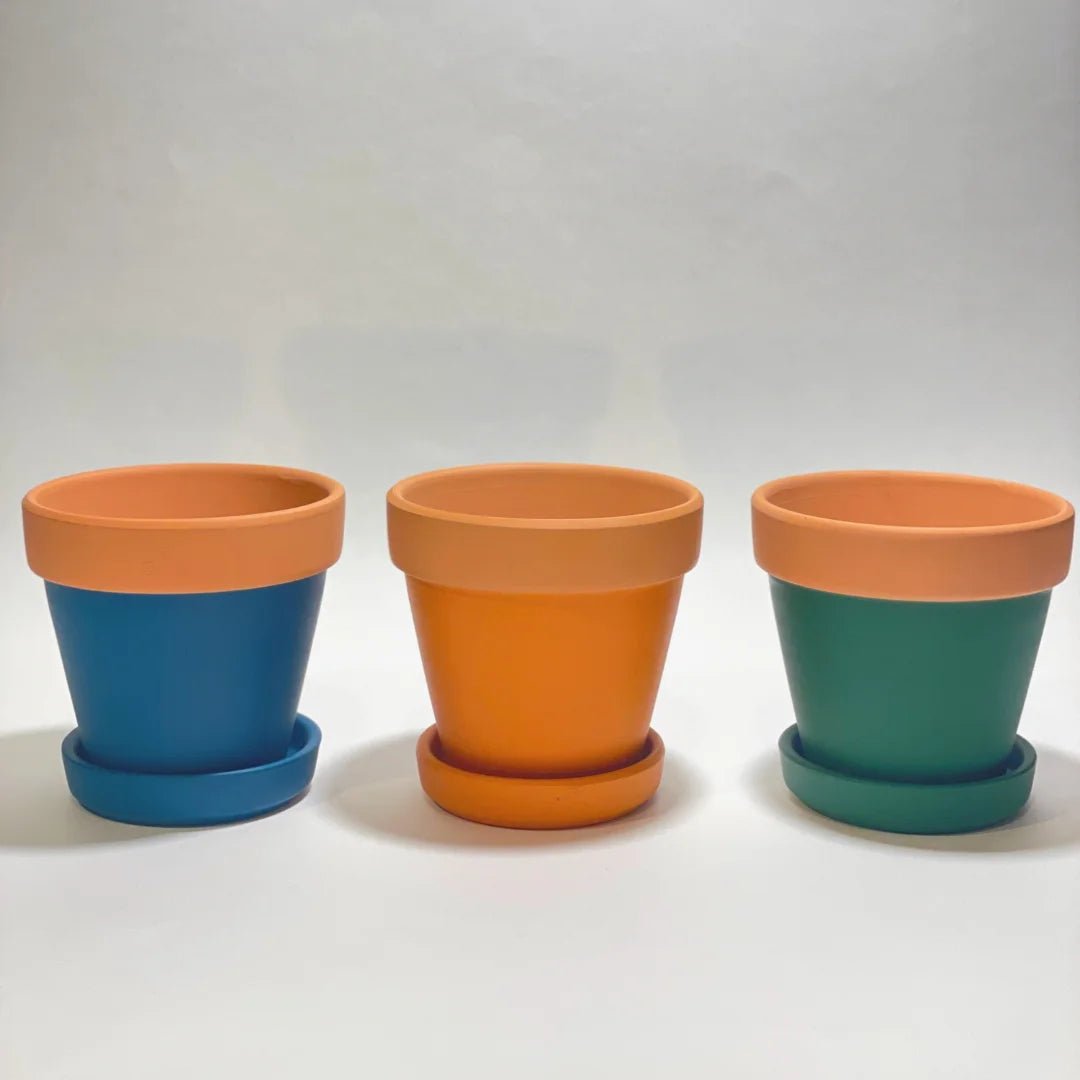 BLOOMSPOON TERRACOTTA GROW KIT - SQOON