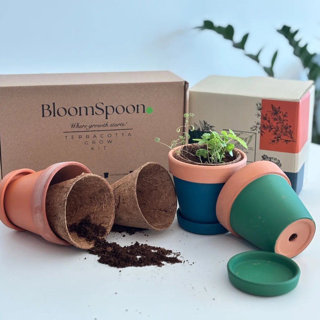 BLOOMSPOON TERRACOTTA GROW KIT - SQOON