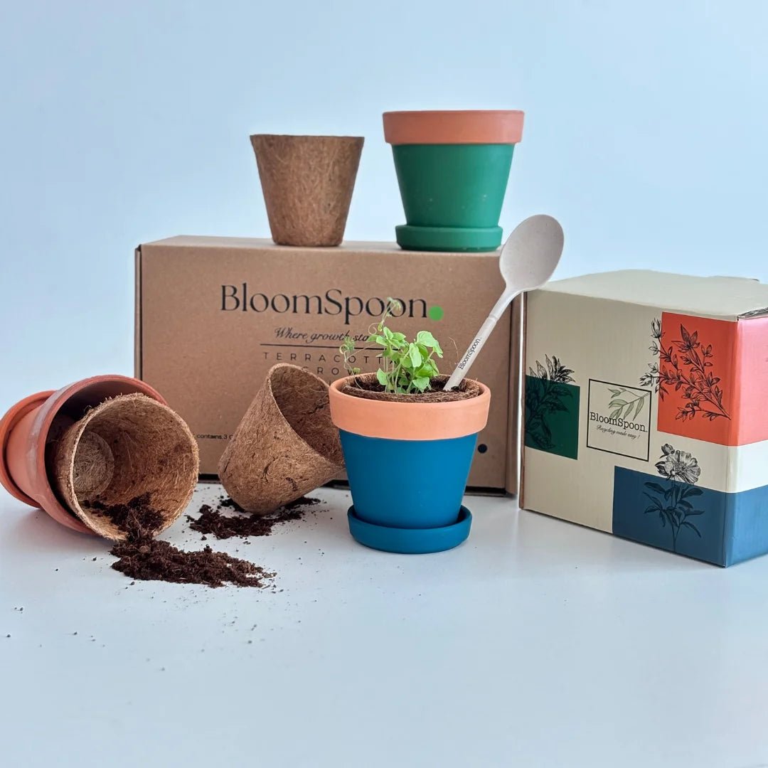 BLOOMSPOON TERRACOTTA GROW KIT - SQOON