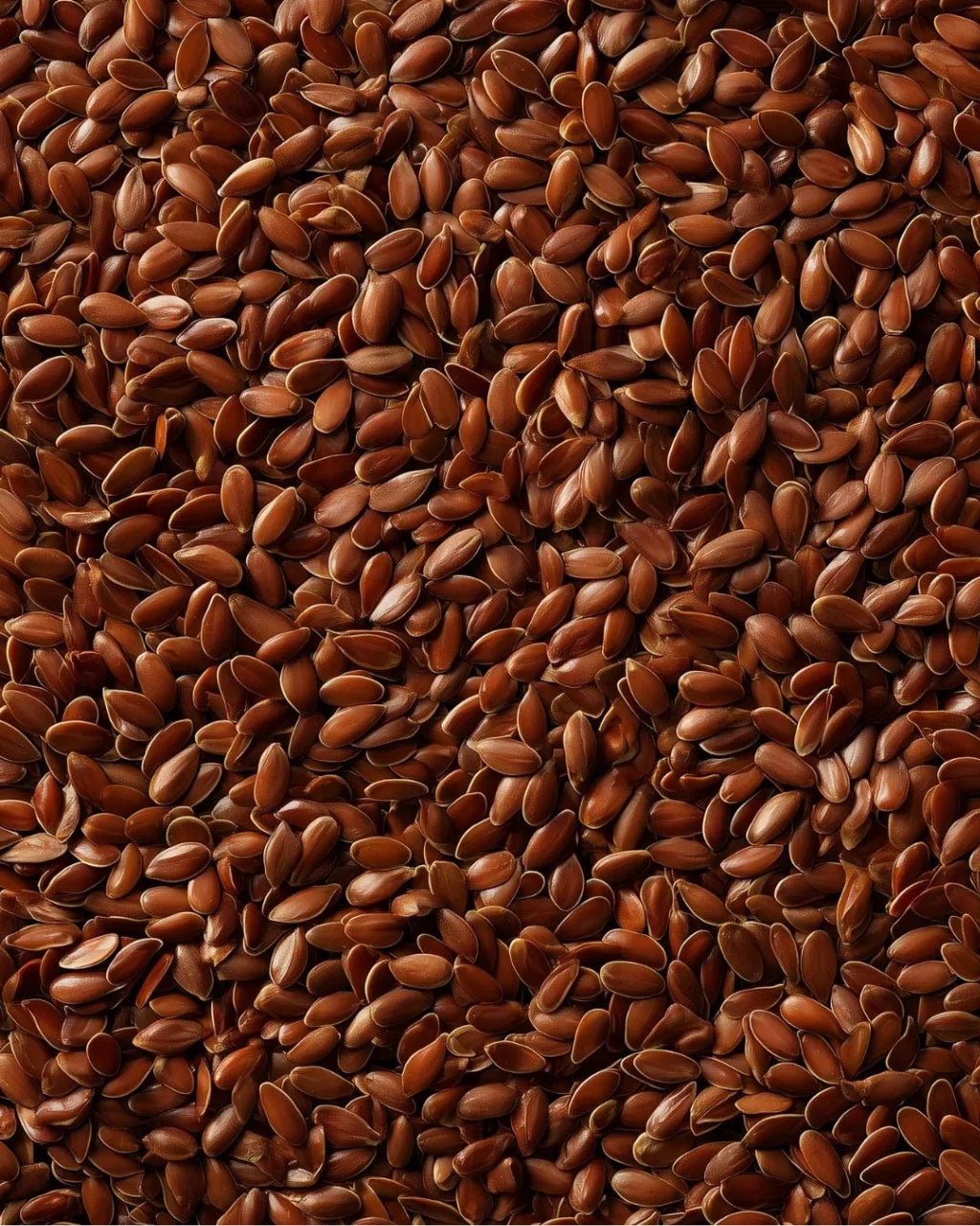 ELEPHANT &amp; FIG TREE BROWN FLAXSEEDS (500g) - SQOON