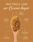 ELEPHANT & FIG TREE COCONUT SUGAR (350g) - SQOON