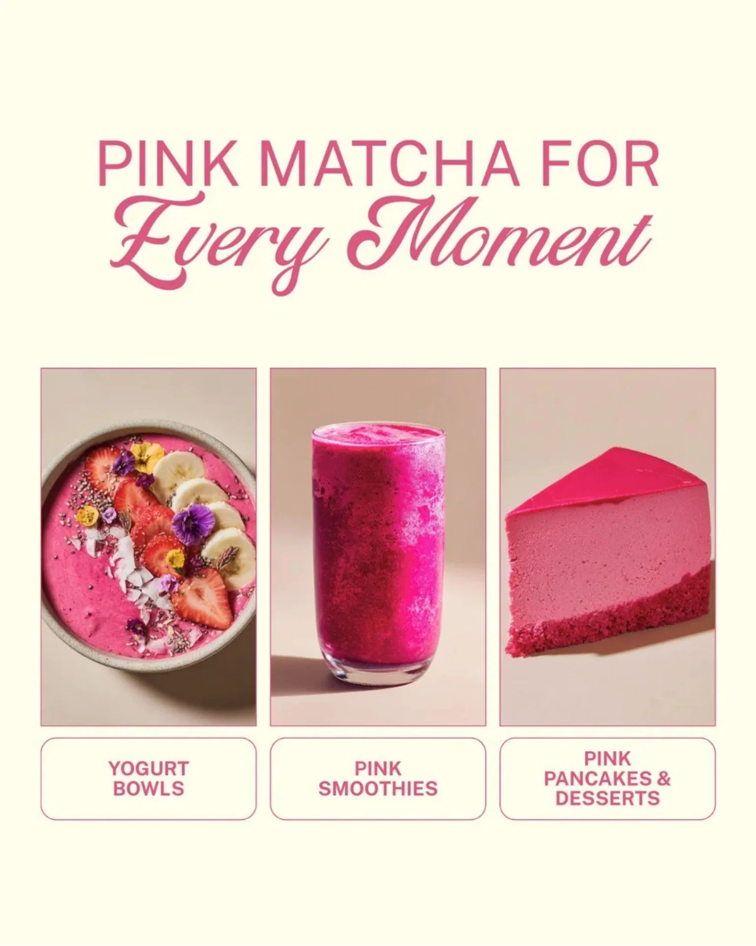 ELEPHANT &amp; FIG TREE PINK PITAYA POWDER (PINK MATCHA) - SQOON