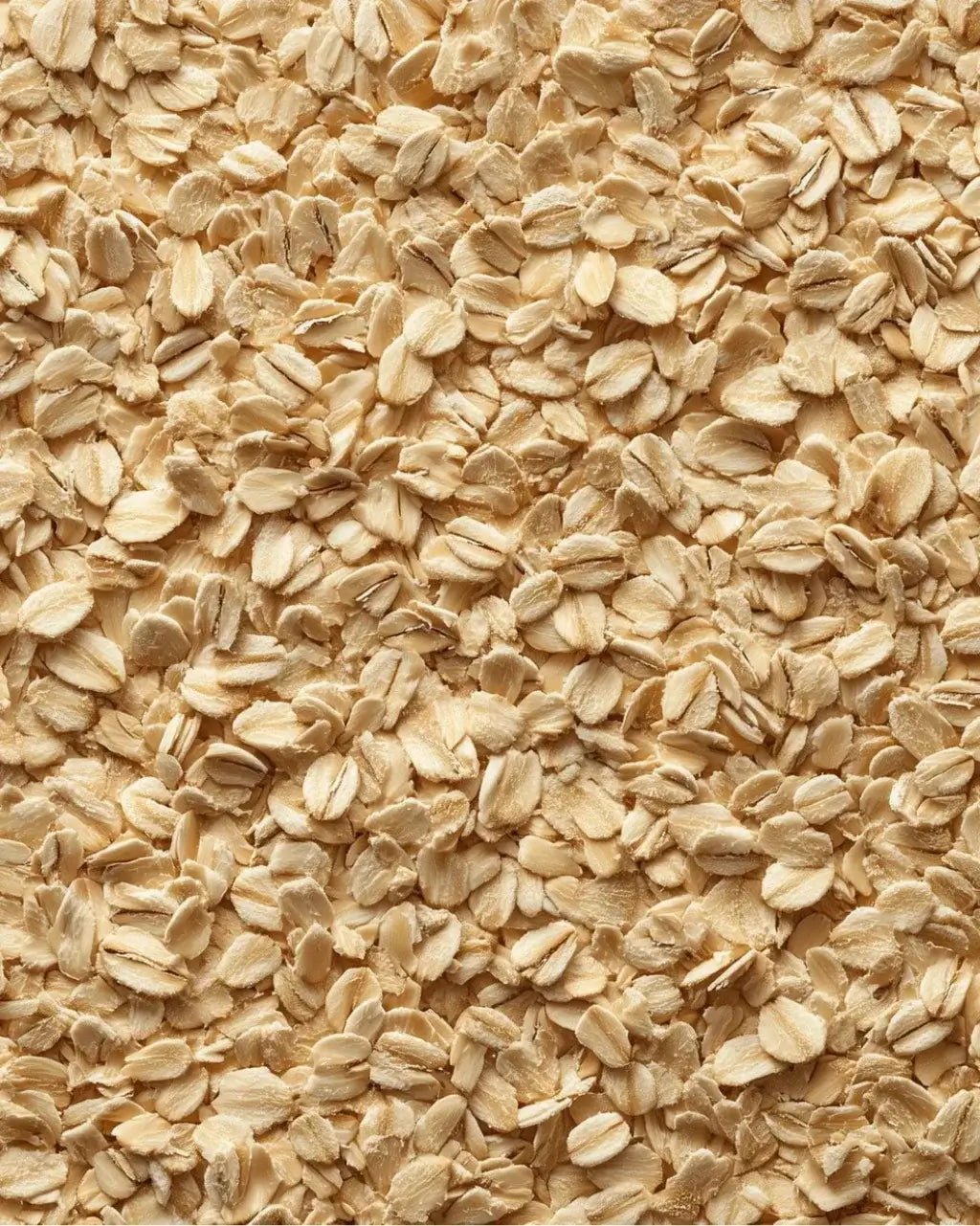ELEPHANT &amp; FIG TREE ROLLED JUMBO OATS (500g) - SQOON