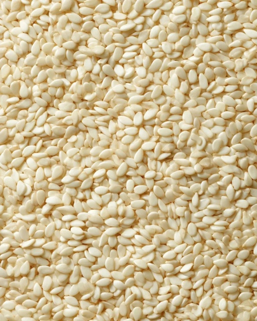 ELEPHANT &amp; FIG TREE SESAME SEEDS (340g) - SQOON