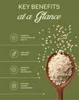 ELEPHANT & FIG TREE SESAME SEEDS (340g) - SQOON