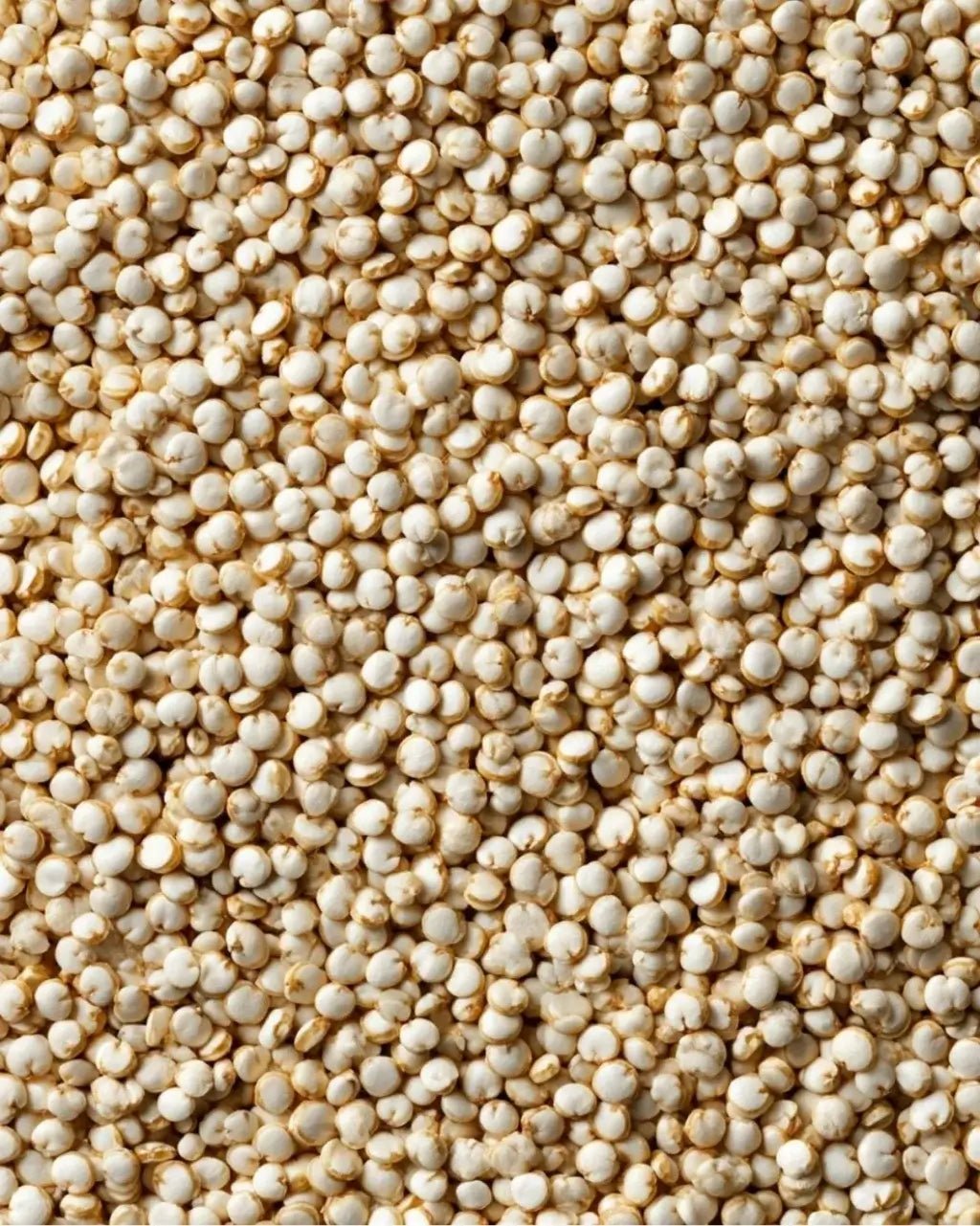 ELEPHANT &amp; FIG TREE WHOLE GRAIN WHITE QUINOA (500g) - SQOON