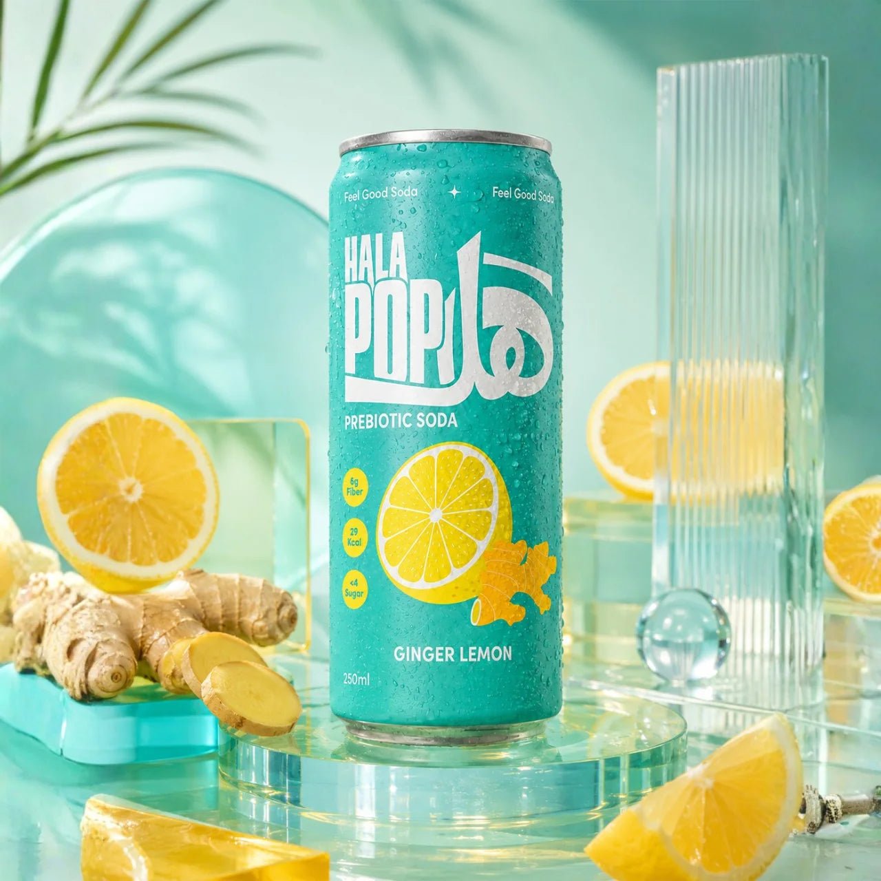 HALAPOP PREBIOTIC SODA - GINGER LEMON (250ml) - SQOON