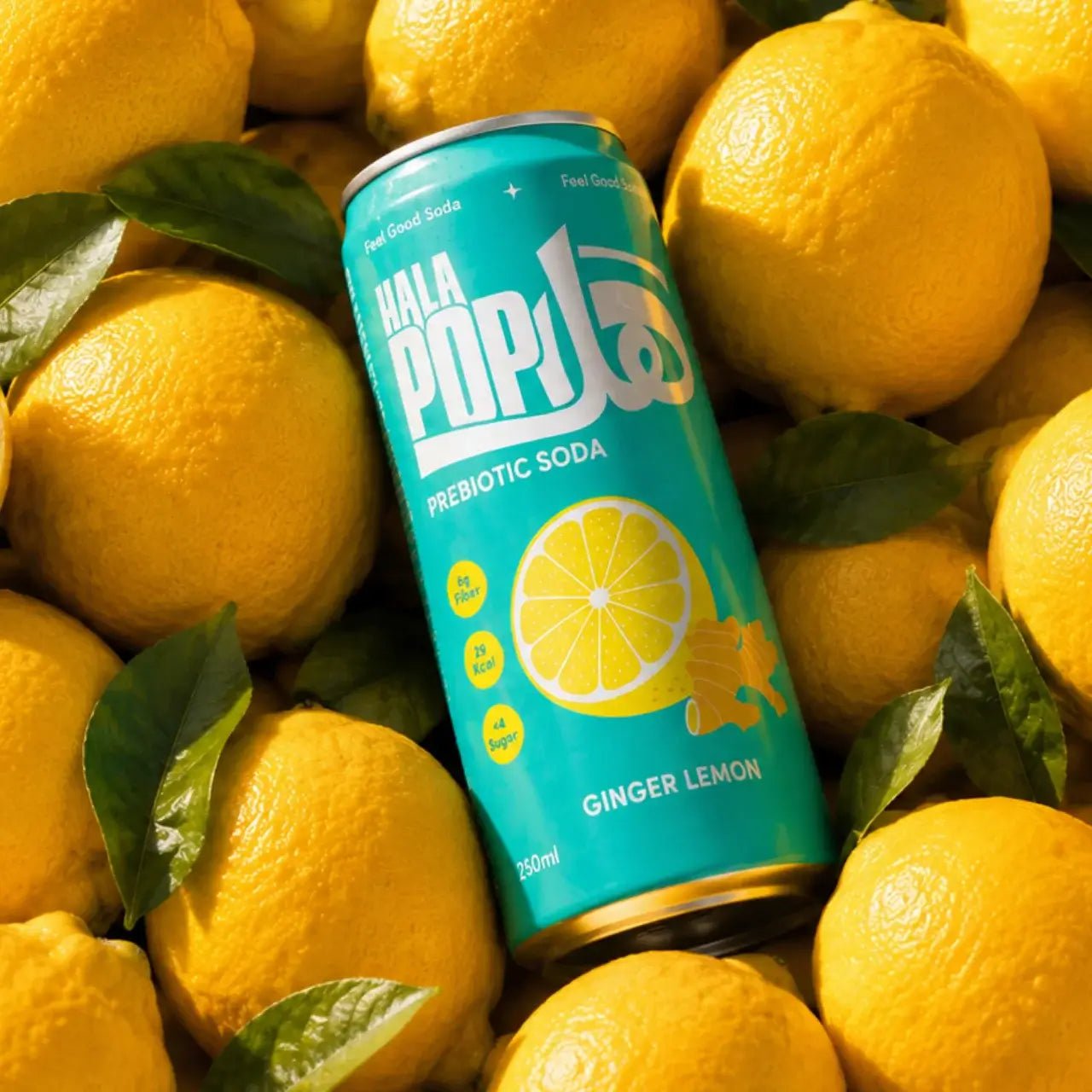 HALAPOP PREBIOTIC SODA - GINGER LEMON (250ml) - SQOON