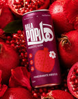 HALAPOP PREBIOTIC SODA - POMEGRANATE HIBISCUS (250ml) - SQOON