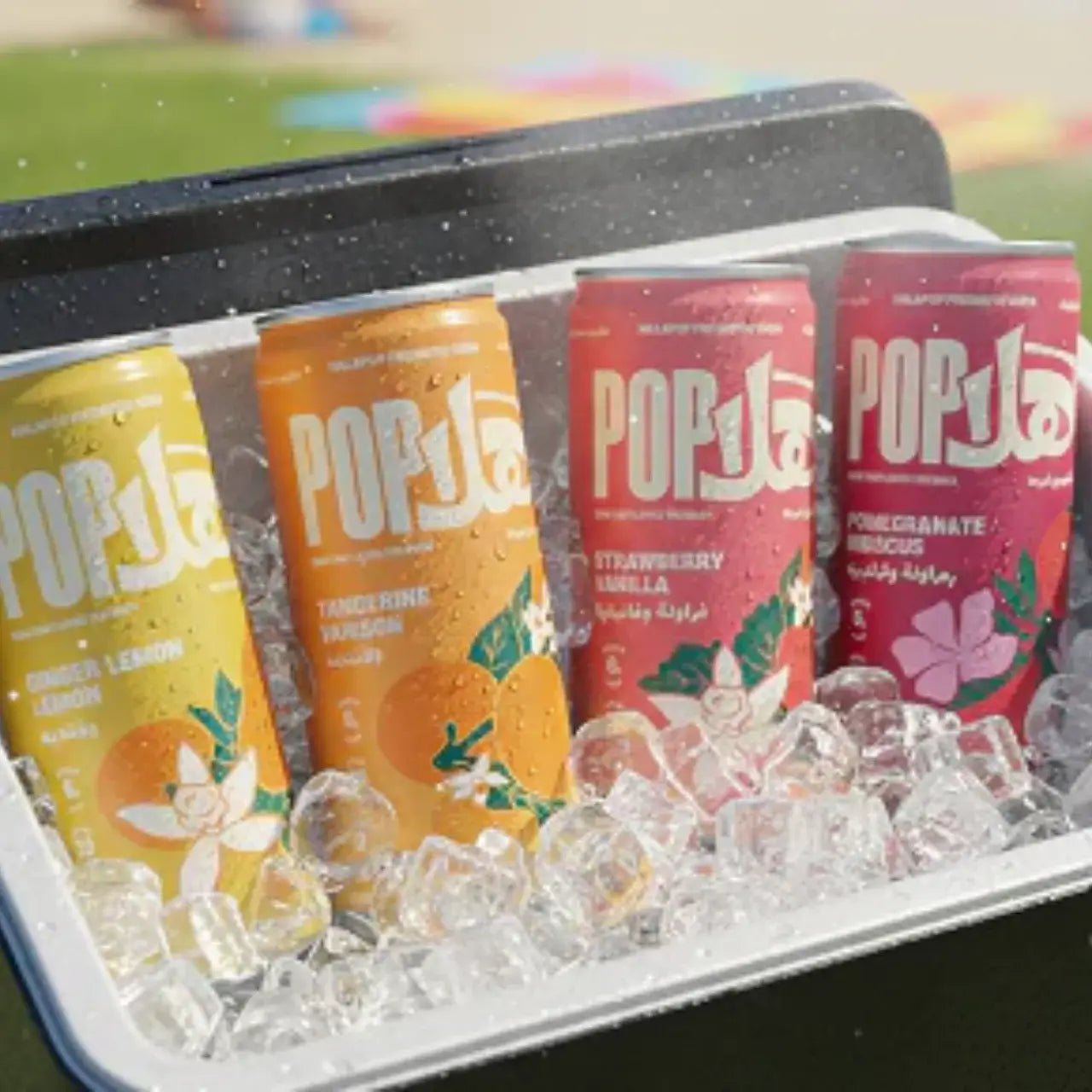 HALAPOP PREBIOTIC SODA - VARIETY PACK (4x 250ml) - SQOON