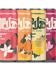 HALAPOP PREBIOTIC SODA - VARIETY PACK (4x 250ml) - SQOON