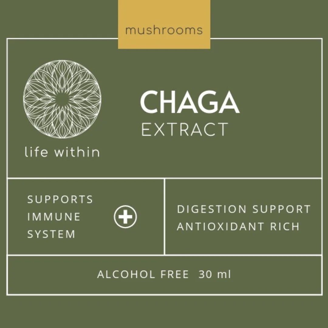 LIFE WITHIN CHAGA EXTRACT (30 ml) - SQOON