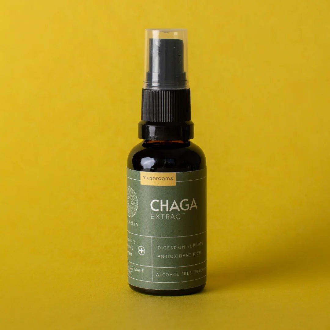 LIFE WITHIN CHAGA EXTRACT (30 ml) - SQOON