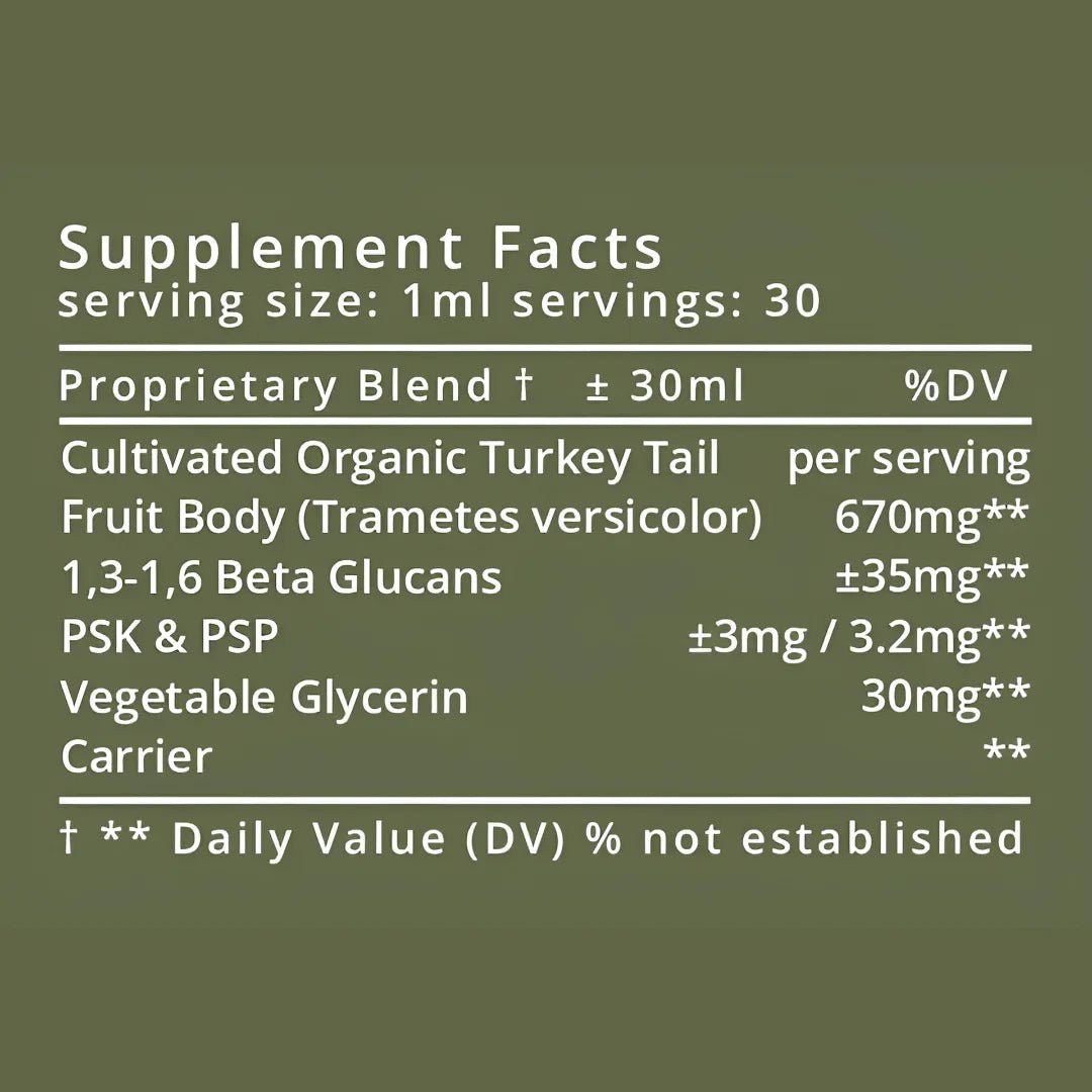 LIFE WITHIN TURKEY TAIL EXTRACT (30 ml) - SQOON