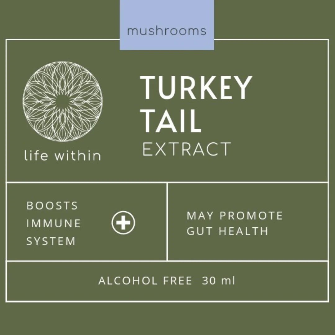 LIFE WITHIN TURKEY TAIL EXTRACT (30 ml) - SQOON